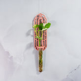 "Front view of CLAY RED Wall Propagation unit filled with live moss and a plant cutting in the clear tube."